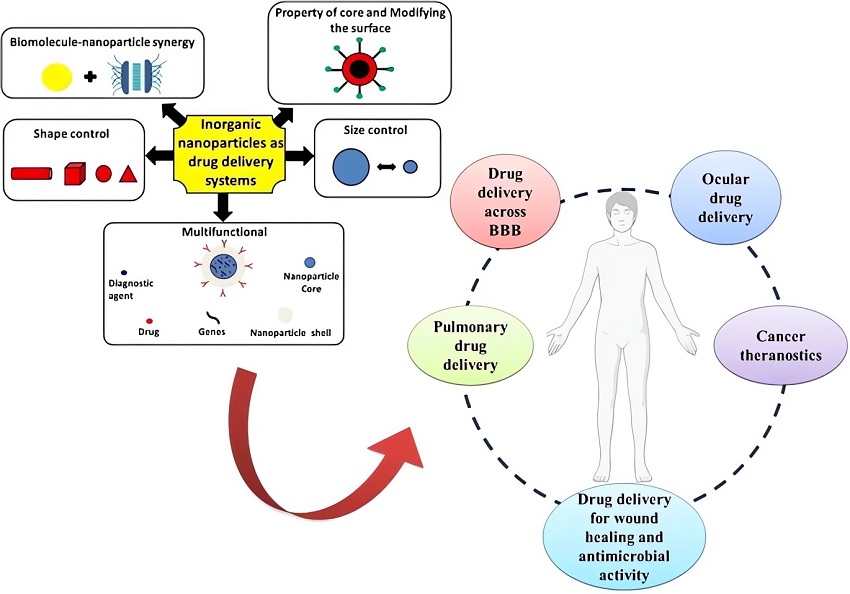 Functions and applications of INPs in drug delivery. (OA Literature)