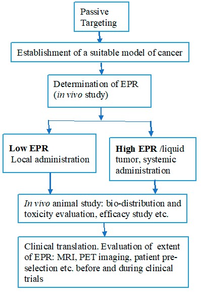 Workflow diagram of EPR-based delivery development: Outlines steps from passive targeting, establishing a cancer model, determining EPR in vivo, choosing administration routes (local for low EPR, systemic for high EPR), conducting in vivo animal studies, to clinical translation with EPR evaluation via imaging and patient pre-selection. (OA Literature)
