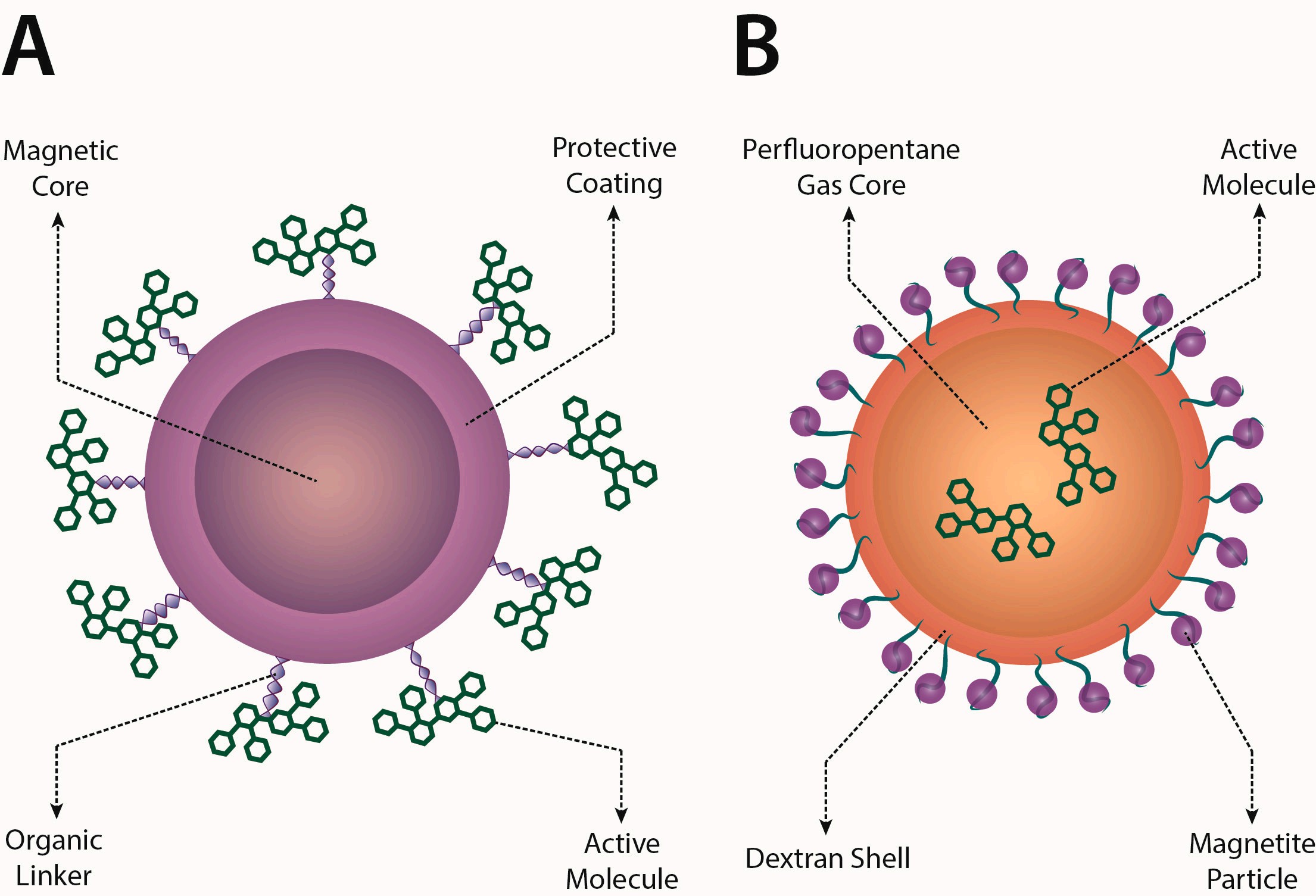 Fig.1 Illustration of two magnetic nanocarrier drug delivery strategies: (A) Design with a magnetic core, protective coating, organic linkers, and active molecules; (B) Design with a perfluoropentane gas core (nano-bubble), dextran shell, surface-attached magnetic (iron) particles, protective coating, and active molecules—depicting dual approaches for magnetic nanocarrier-based drug delivery. (OA Literature)