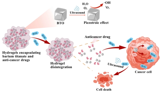 Fig.1 Schematic diagram of ultrasound-responsive controlled release drug system based on piezoelectric catalysis. (OA Literature)
