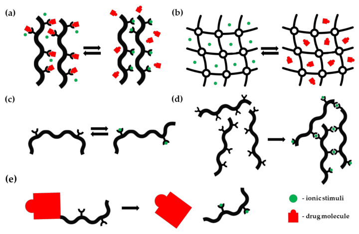 Fig.1 Schematic diagram of possible mechanisms of ion-dependent response of pharmaceutical systems. (OA Literature)
