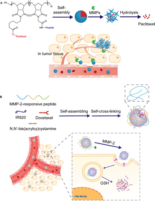 Fig.1 Schematic of Enzyme-Responsive Targeted Delivery. (OA Literature)