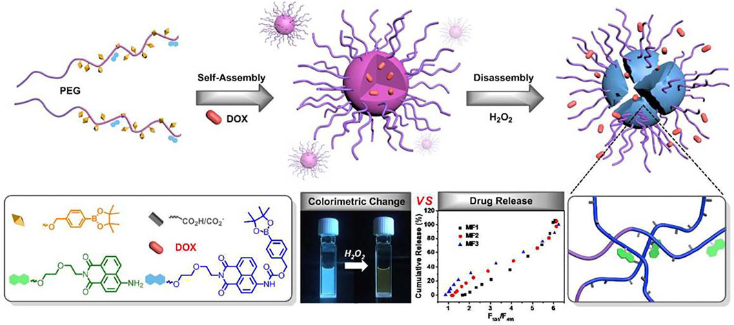 Fig.1 Schematic illustration of a kind of ROS-responsive NPs delivery system. (OA Literature)