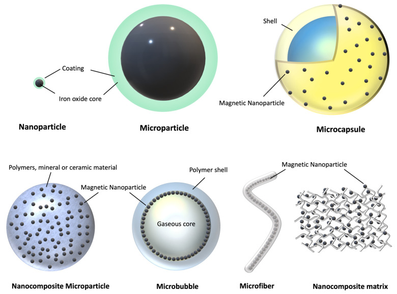 Fig.1 Schematic of different morphologies of micro/nanosystems for the magnetic targeted delivery of bioagents. (OA Literature)
