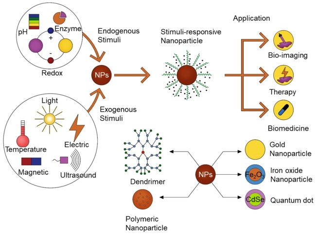 Fig.1 Schematic diagram of stimuli-responsive nanomaterials used for bioimaging, therapy, and triggered drug release. (OA Literature)