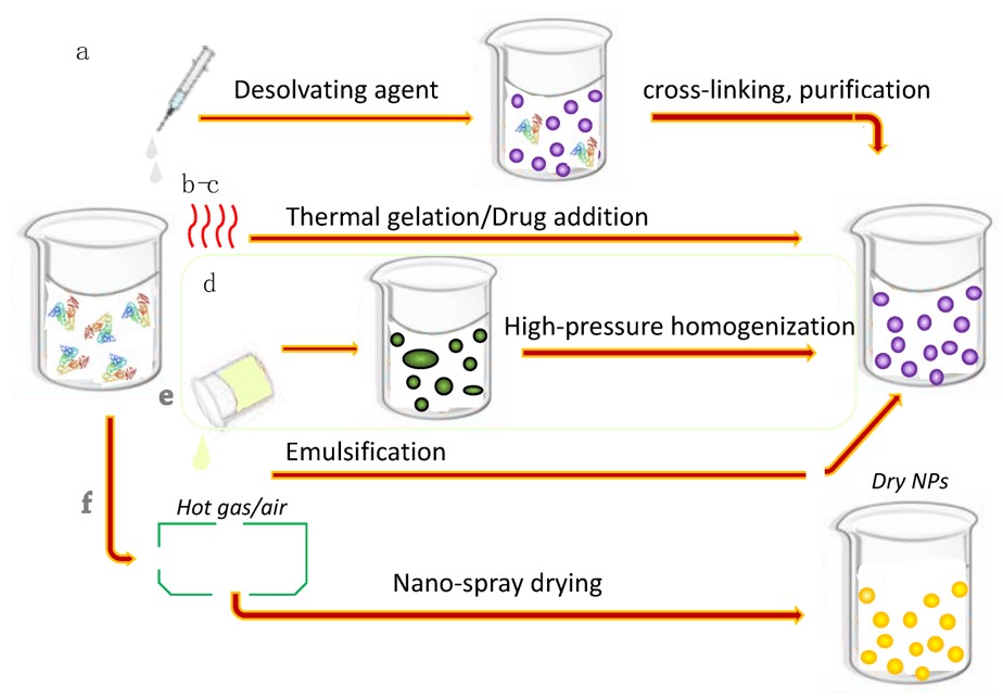 Schematic representation of the preparation methods for albumin nanoparticles. (OA Literature)