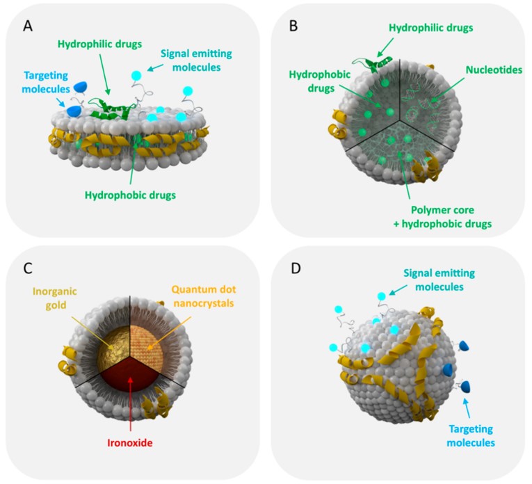 Schematic presentation of the rHDL nanoparticle platform for drug delivery and imaging. (OA Literature)