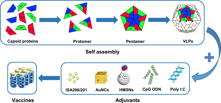Schematic diagram of the preparation process of VLPs vaccine. (OA Literature)