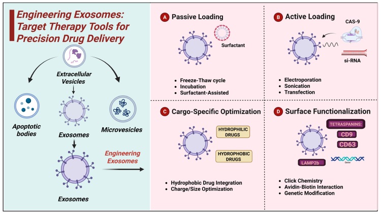 Schematic illustration of exosome engineering methods for targeted drug delivery. (OA Literature)