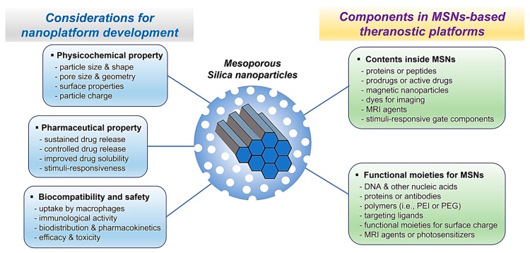 Mesoporous silica nanoparticle platforms used for drug delivery system: considerations for MSNs-based drug development process and components for MSNs-based theranostic system. (OA Literature)
