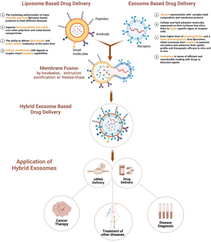 Membrane fusion-based hybrid exosome preparation and applications. (OA Literature)