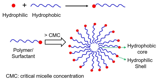 Illustration of the self-assembly of the polymer or surfactant into a spherical micelle. (OA Literature)