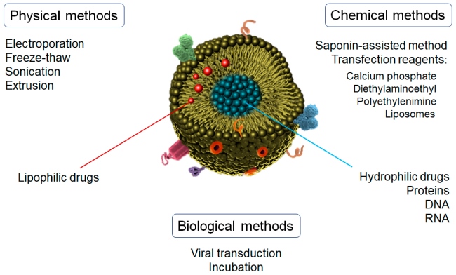 Drug-loading methods for exosomes nanoparticles. (OA Literature)