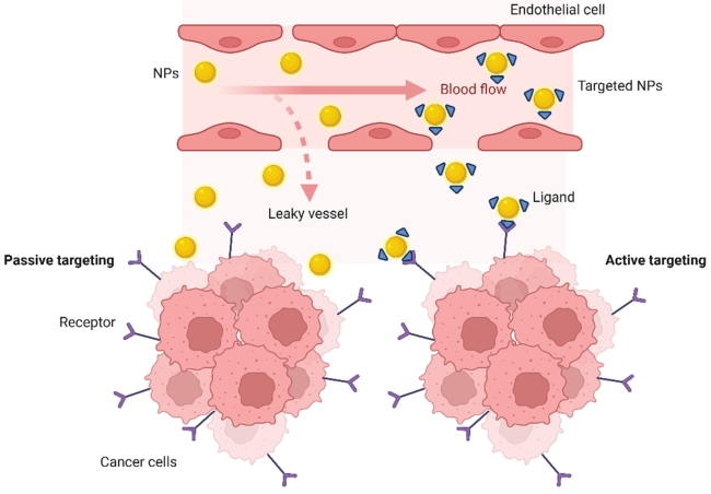 Fig.1 Schematic representation of active targeting vs. passive targeting of cancer cells by nano-delivery systems. (OA Literature)