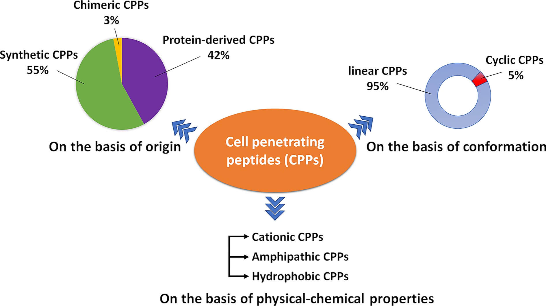 Illustration of the two types of cellular uptake mechanisms of CPPs. (OA Literature)