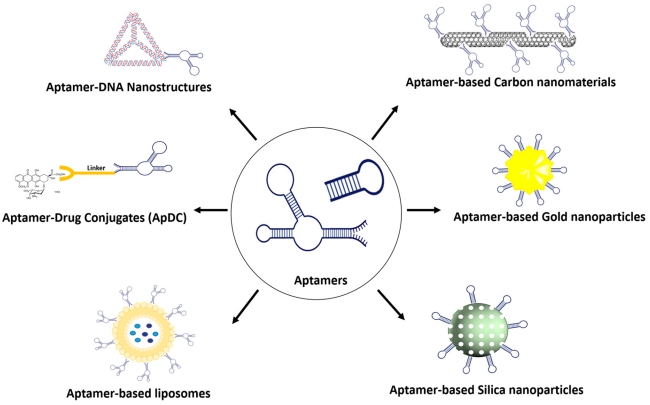 Fig.1 Schematic of a variety of aptamer conjugates for targeted drug-delivery system. (OA Literature)