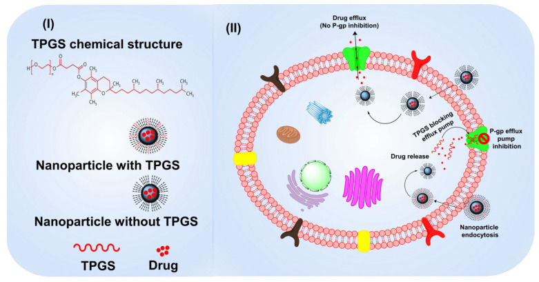 Fig.1 Schematic of the medicinal applications of TPGS synthesized from vitamin E. (OA Literature)