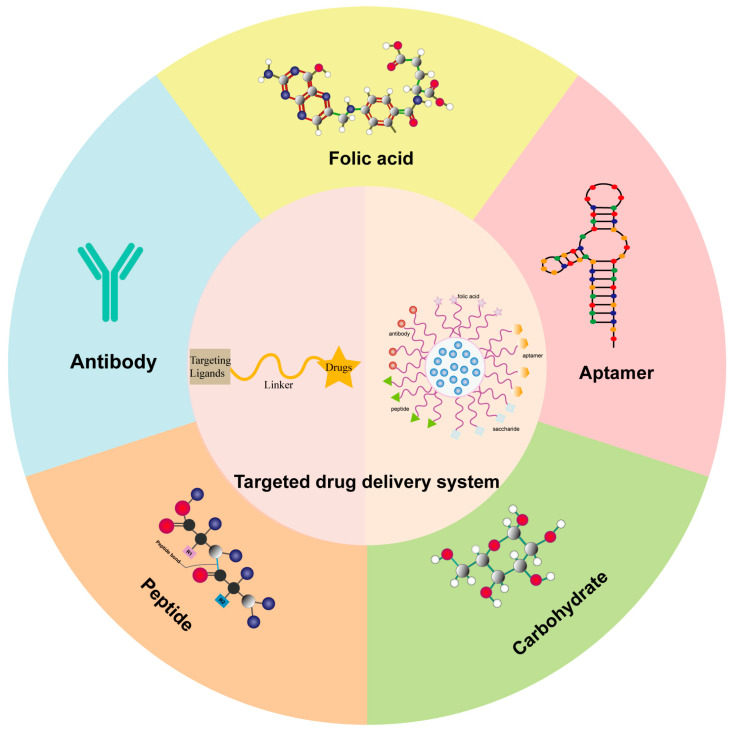 Fig.1 Schematic representation of different targeting ligands-mediated drug delivery systems. (OA Literature)