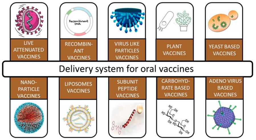 Various delivery systems for oral vaccines: Oral route for vaccines is not limited to a few options. (OA Literature)