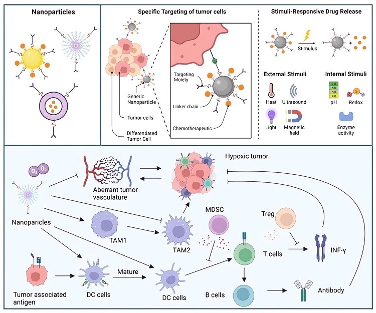 Summary of NPs targeting different TME components to reprogram the immunosuppressive system and re-sensitize tumor cells to immunotherapy. (OA Literature)