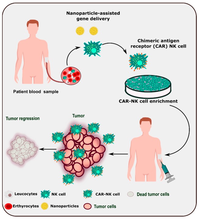Schematic representation of nanoparticle-assisted development of CAR-NK cell-based therapy. (OA Literature)