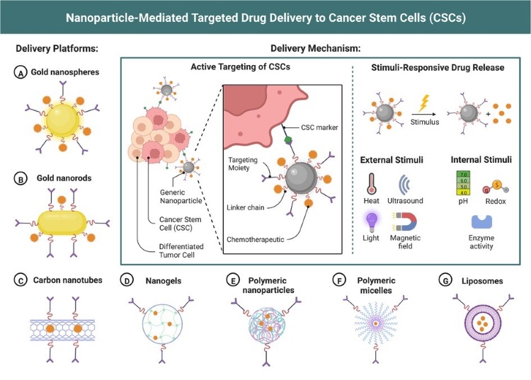 Nanoparticle-mediated targeted drug delivery for cancer treatment. (OA Literature)