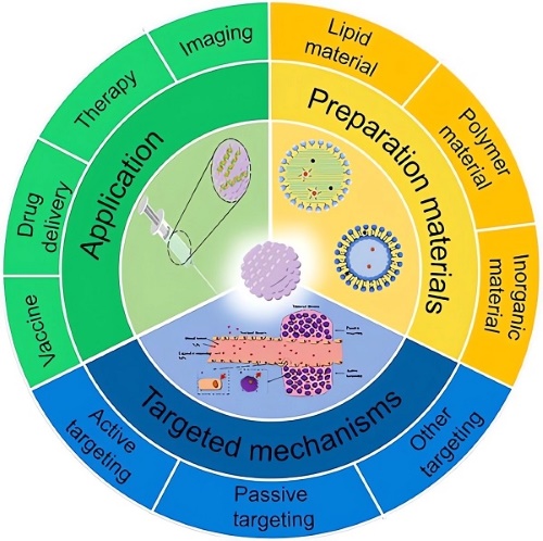Schematic of the mechanism of nanoparticles and applications of nanoparticles in tumour-targeted drug delivery and vaccine. (OA Literature)