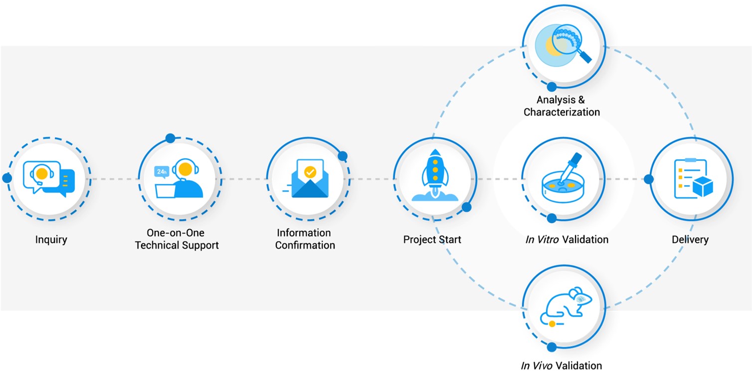 Service workflow at Creative Biolabs. (Creative Biolabs Original)