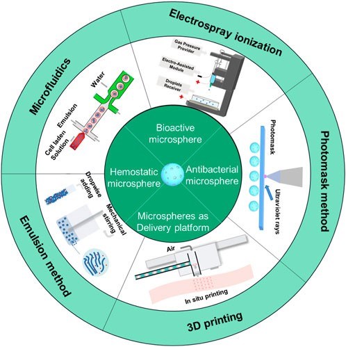 Fig.2 Scheme of preparation method of hydrogel microspher. (Chi, Honggang, et al, 2023)