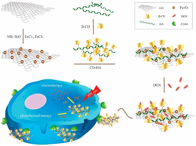 Fig.2 Illustration of the synthesis of β-cyclodextrin–hyaluronic acid polymers grafted with Fe3O4–graphene oxide (CDHA–MGO) for targeted photo-chemotherapy of tumor cells. (Liang, Wenting, et al, 2019)