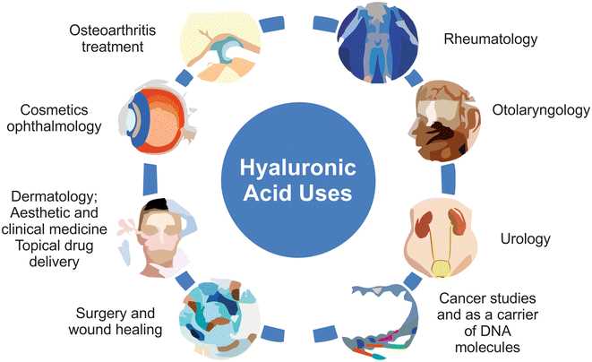 Fig.1 Biomedical applications of HA. (de Oliveira, Juliana Davies, et al, 2016)