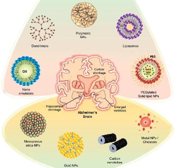 Fig.1 Graphical representation of a few successful nano-carriers adapted in AD nano-therapeutics. (Karthivashan, Govindarajan, et al, 2018)