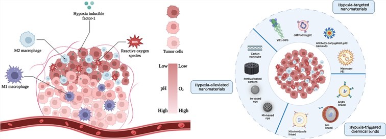 Fig.2 Hypoxia-responsive nanomaterials for tumor imaging and therapy. (Xia, Yifei, et al, 2022)