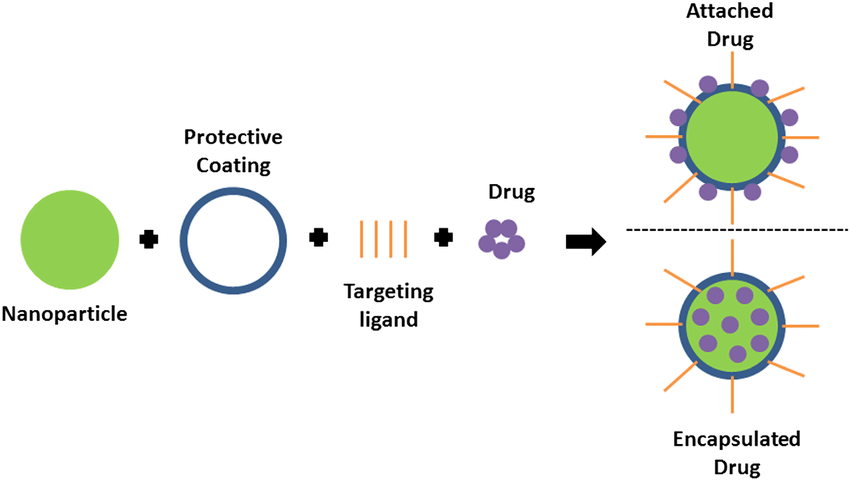 Fig.1 Scheme of drug loading options in targeted drug delivery. (McNamara, Karrina, and Syed AM Tofail, 2017)