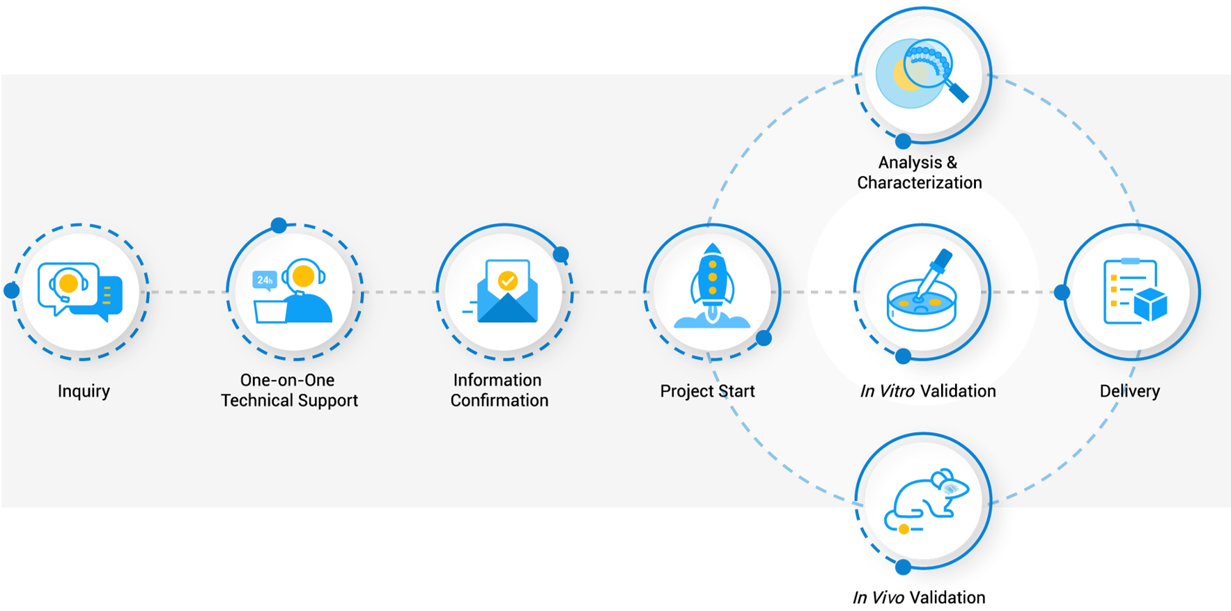 Workflow of Creative Biolabs. (Creative Biolabs Original)