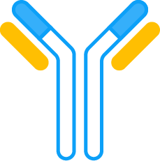 Antibody-Drug Conjugates (ADCs)