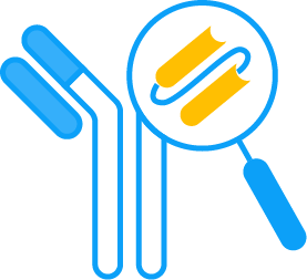 Antibody Fragment-Drug conjugates (FDC)