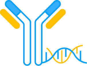 Antibody-Oligonucleotide Conjugates (AOC)