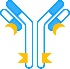 Immune-stimulating Antibody Conjugate (ISAC)