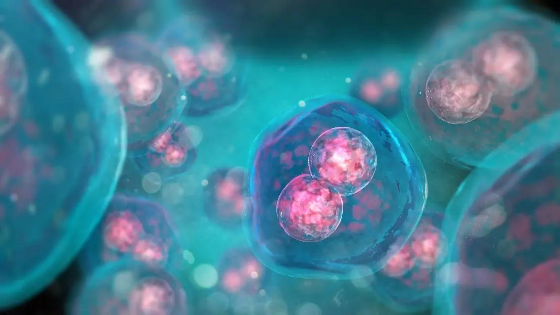Synthetic services for the biomimetic delivery systems for targeted delivery. (Creative Biolabs Authorized)