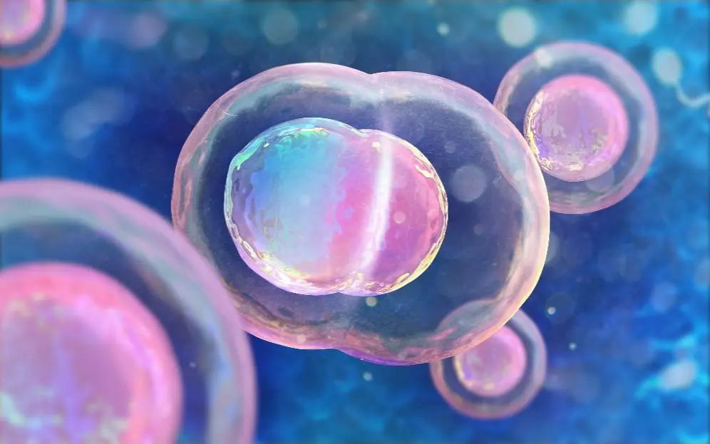Synthesis service for hybrid delivery systems for targeted delivery. (Creative Biolabs Authorized)