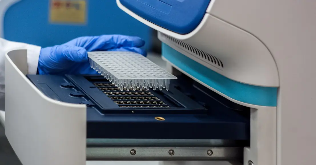 Comprehensive characterization services for targeted drug delivery systems. (Creative Biolabs Authorized)