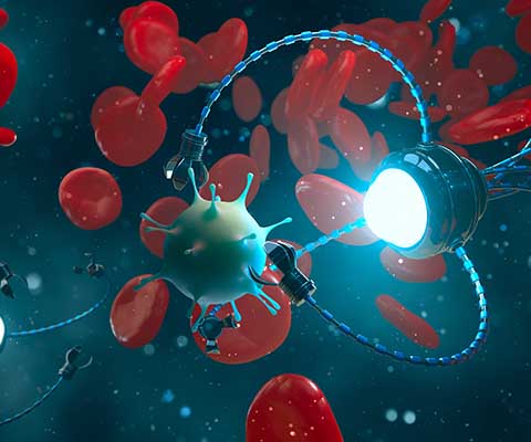 Fig.6 Targeted delivery (Creative Biolabs Authorized)