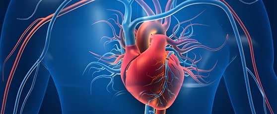 Fig.9 Targeted delivery (Creative Biolabs Authorized)