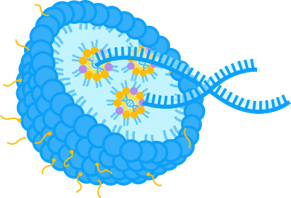 Lipid Nanoparticles (LNP)