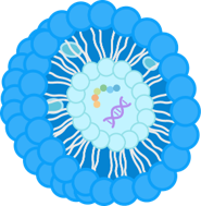 Liposomes