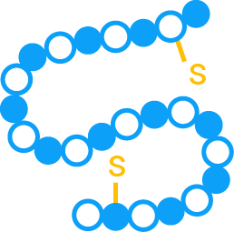 Peptide-Drug Conjugates (PDCs)