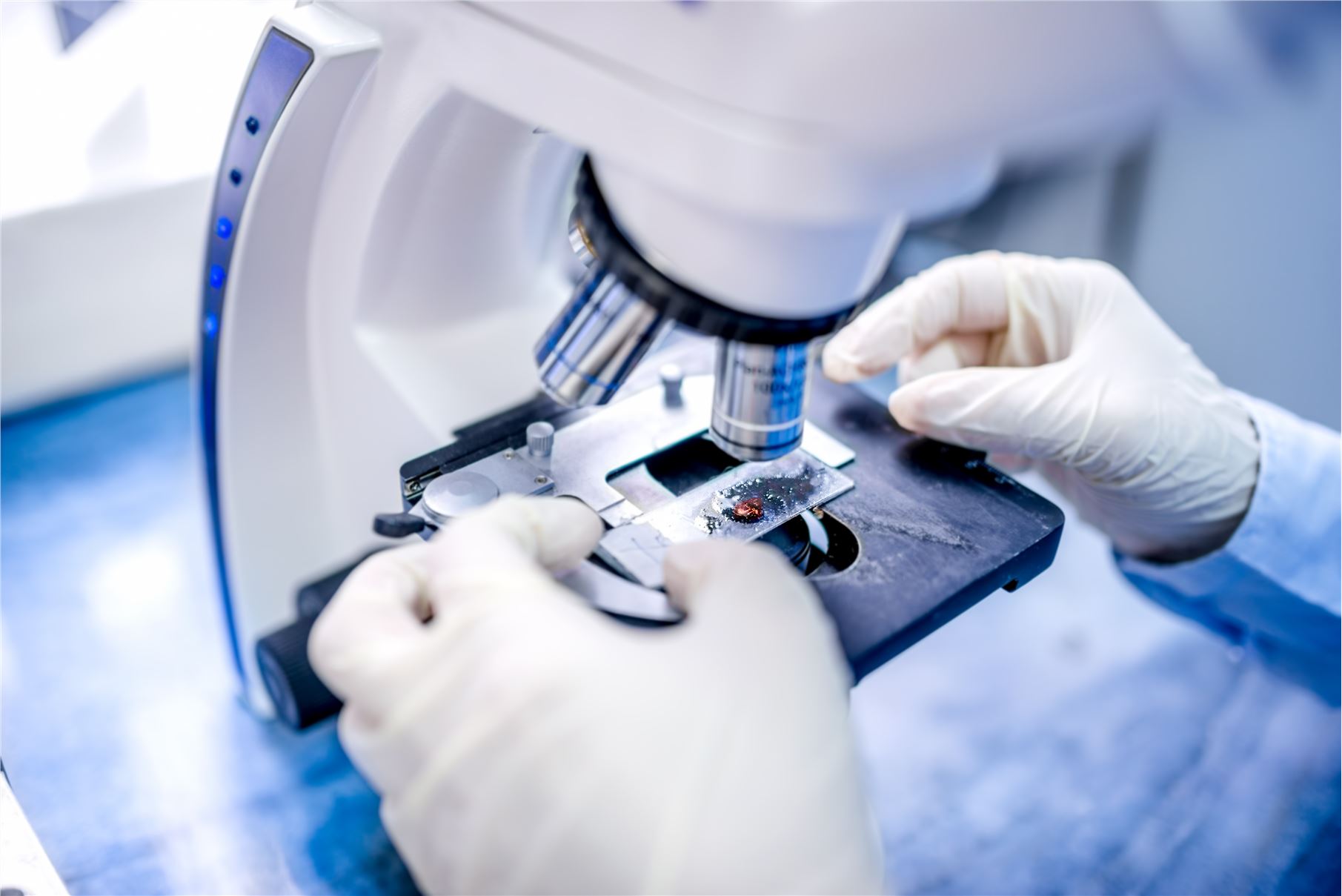 Related services - Analytical & Characterization Service. (Creative Biolabs Authorized)