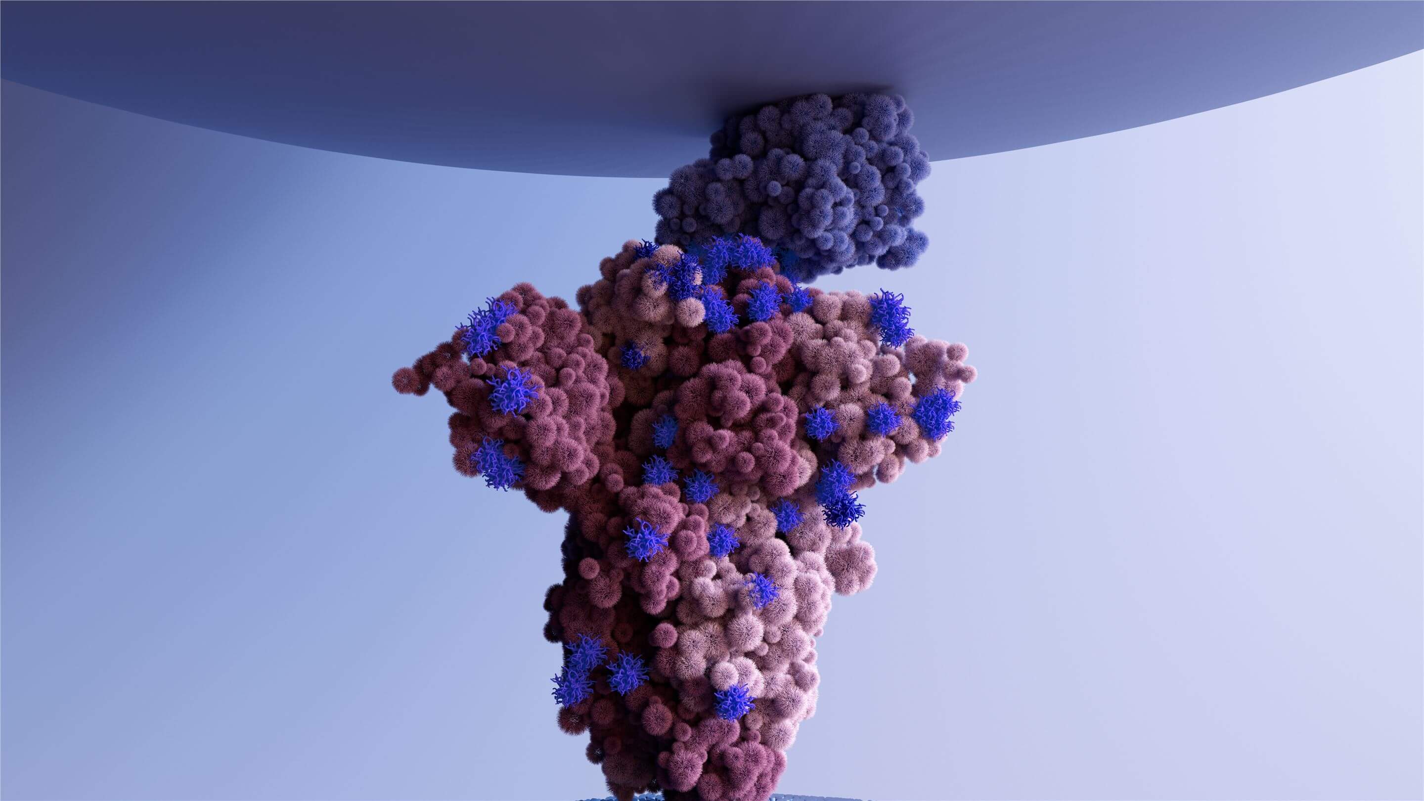 Related services - Bioconjugation Services. (Creative Biolabs Authorized)