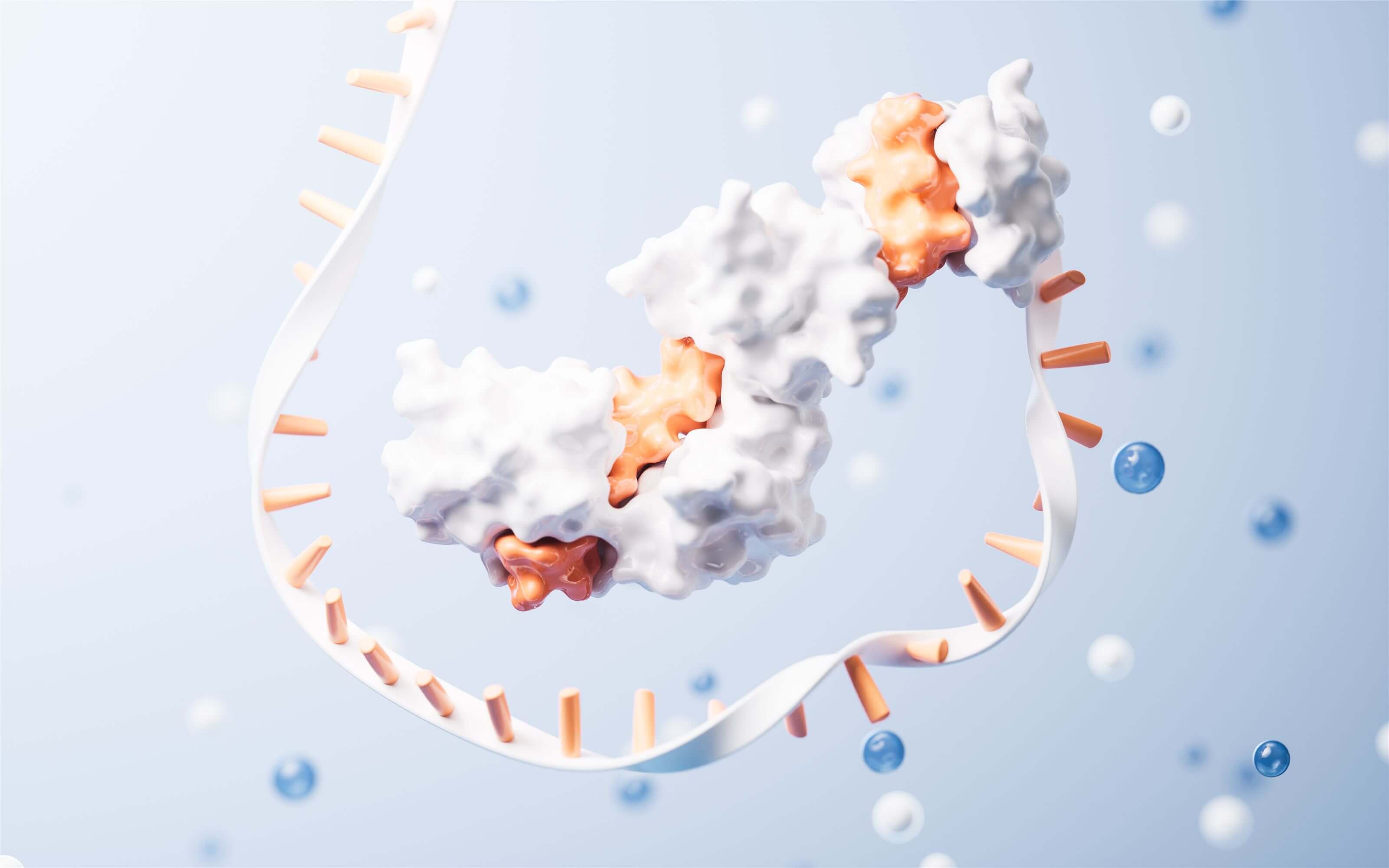Related services - Custom Aptamer Synthesis Services. (Creative Biolabs Authorized)